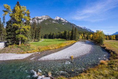 Sarı çim çimleri Park arasında akış