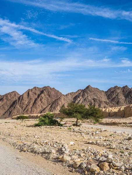 Ruta a pie en el desierto —  Fotos de Stock