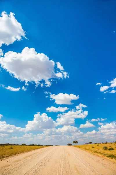 Weelderige groene bomen groeien langs de weg — Stockfoto