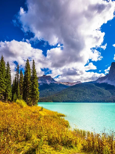 Lago cercado por montanhas arborizadas — Fotografia de Stock