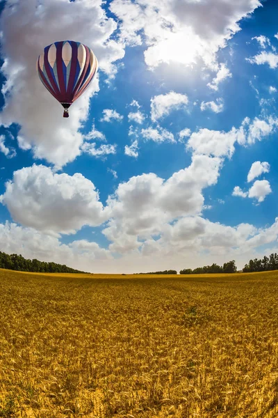 Globo volando sobre campo de trigo —  Fotos de Stock