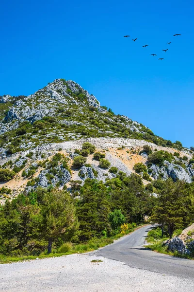 Eğimli dağ yolu üzerinde geçirme Vinçler — Stok fotoğraf
