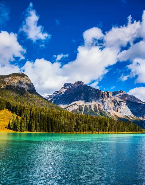 Emerald-green lake surrounded by forest — Stock Photo, Image