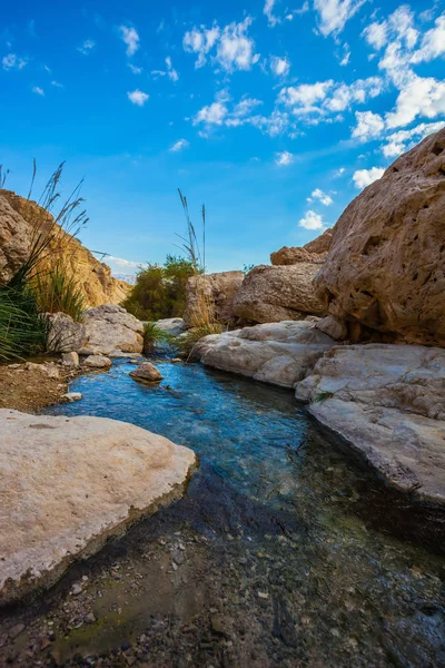 Ruscello di acqua pura che scorre attraverso la gola — Foto Stock