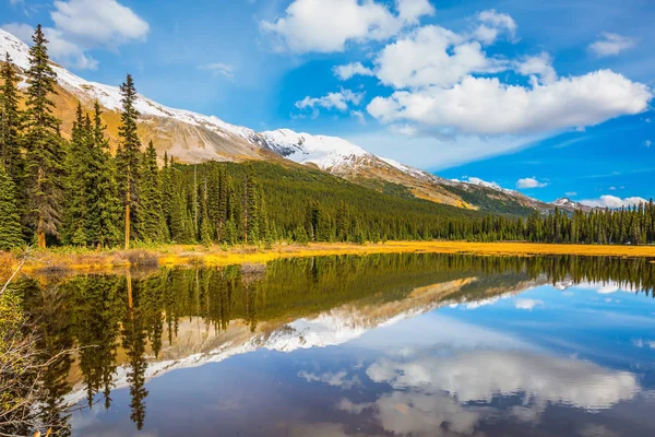 Мелкое болотистое озеро в Скалистых горах Канады — стоковое фото