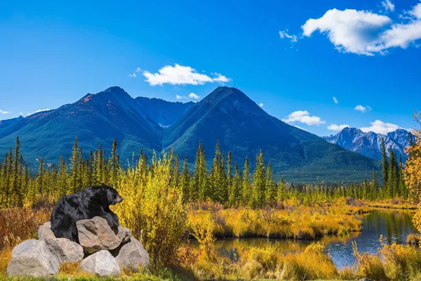 Oso descansando sobre piedras en la orilla del lago — Foto de Stock