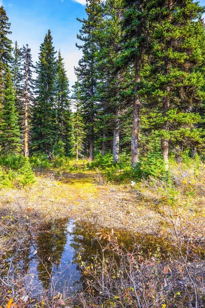 Vattenfylld dal i klippiga bergen i Kanada — Stockfoto