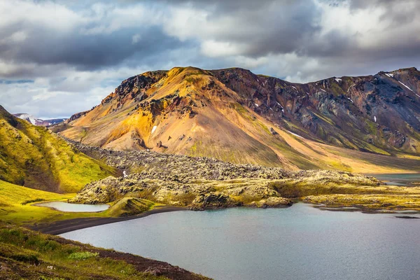 Sarı-yeşil tundra arasında soğuk göl
