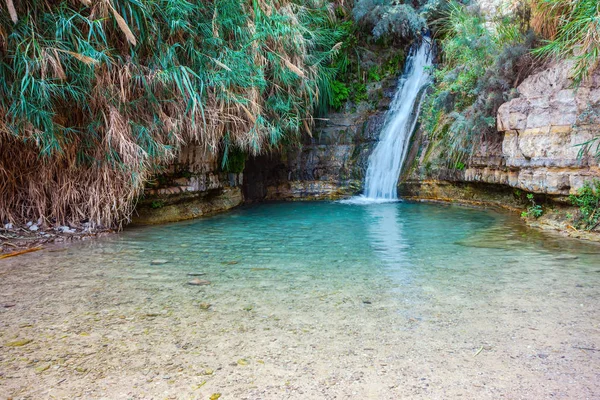 Cachoeira que flui em lago raso claro — Fotografia de Stock