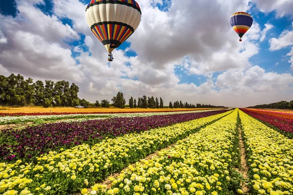 Ballons survolant le champ avec des fleurs — Photo