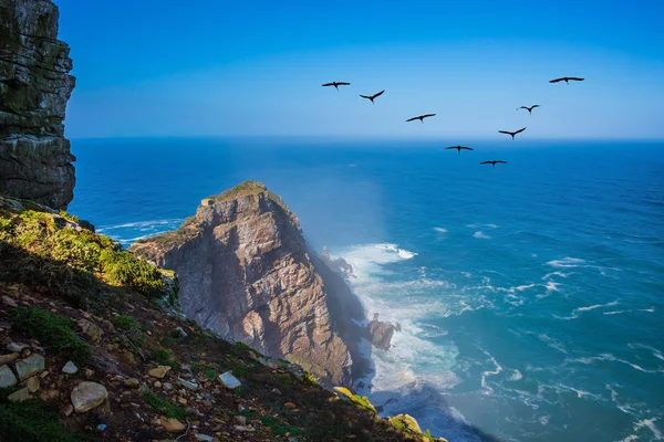 Flock flyttfåglar över kraftfulla ocean — Stockfoto