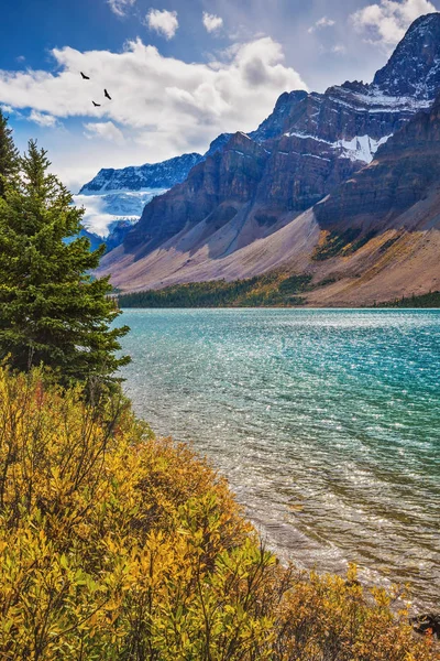 Sziklás-hegység erdővel körülvett tó — Stock Fotó