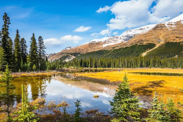 Valle bagnata in Montagne Rocciose innevate — Foto Stock