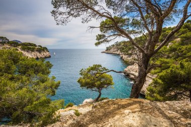 Milli Parkı Calanques 