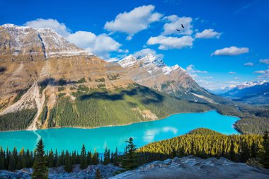 Lake Peyto Banff Ulusal Parkı'nda