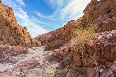 Fantastik multi renk Kanyon