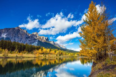 Sararmış aspens Gölü çevreleyen