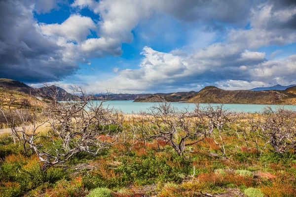 Torres del Paine National Park — Stock Photo, Image