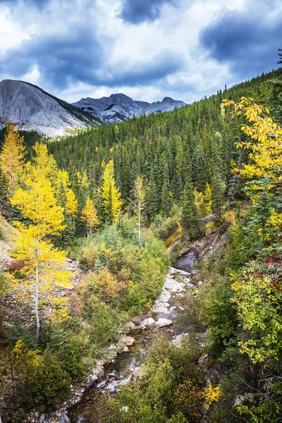 Klippiga bergen Kanada — Stockfoto
