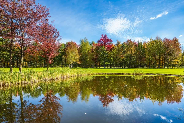 Golden autumn in French Canada — Stock Photo, Image