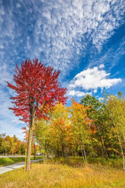 Autunno d'oro nel Canada francese — Foto Stock