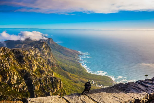 National Park Table Mountain — Stock Photo, Image