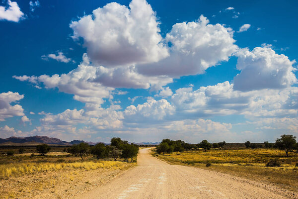 Dirt,road,African,steppe,