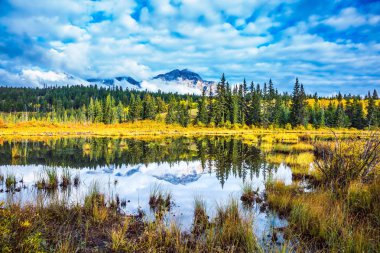 Orman ve dağlar arasında göl