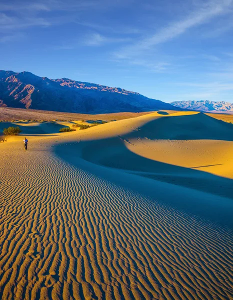 Photographe marchant dans les dunes de sable — Photo