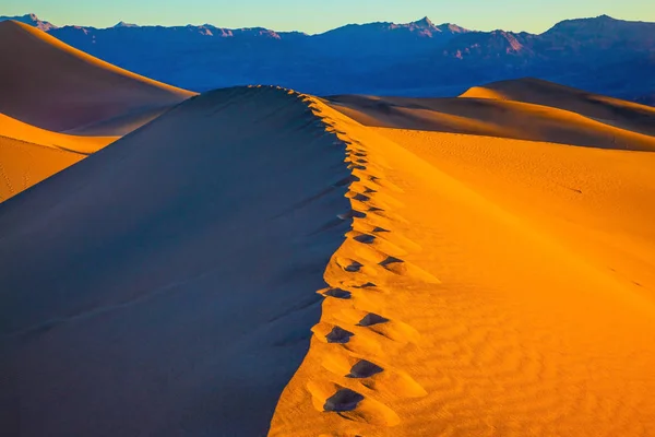 Sandy Desert in Mesquite Flat — Stock Photo, Image