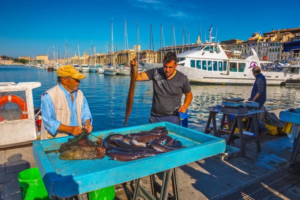 Balıkçı taze catch tezgahın üzerine koydu. — Stok fotoğraf