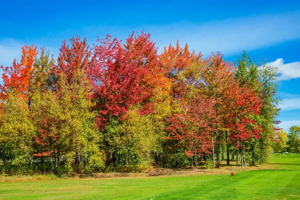 Indian summer in French Canada — Stock Photo, Image