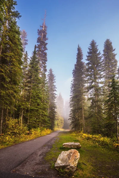 Morgondimman på Emerald Lake — Stockfoto