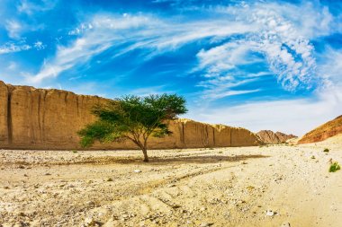 Eilat dağlarda Taş Çölü