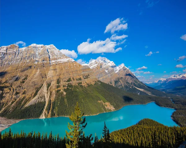 Peyto Lake v národním parku Banff — Stock fotografie