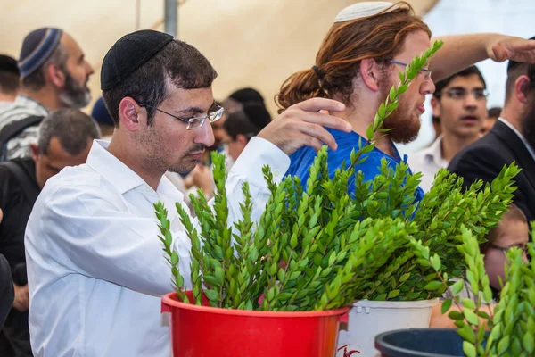 Takken van planten aan ritueel — Stockfoto