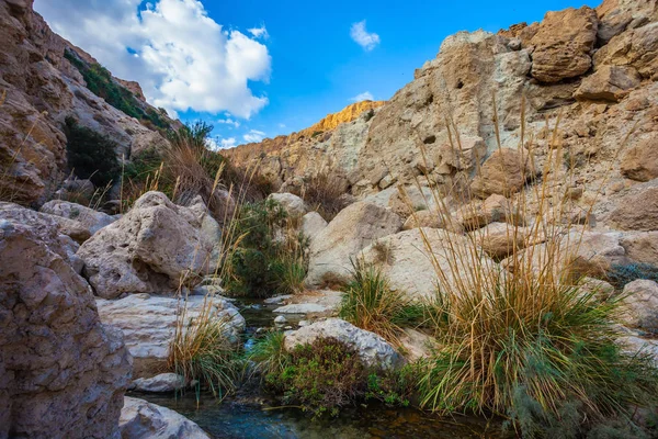 Ruscello di acqua fredda e limpida — Foto Stock