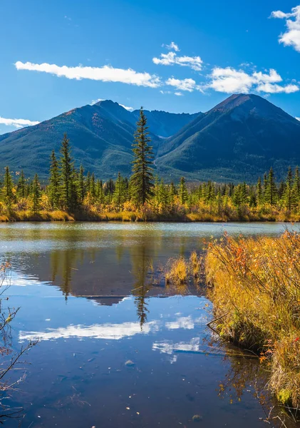 Lake Peyto im Banff-Nationalpark — Stockfoto