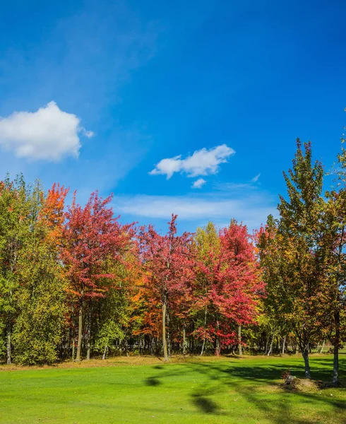 Indian summer in French Canada — Stock Photo, Image