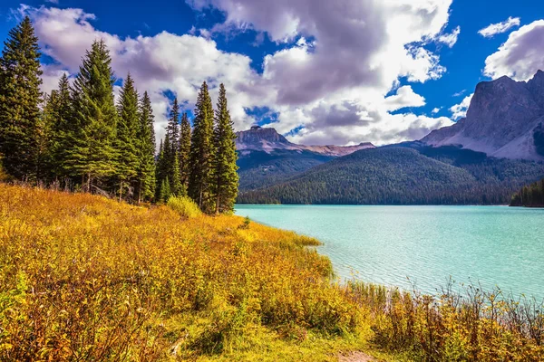 Grüner See umgeben von Wald — Stockfoto