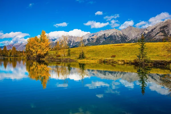 Lago Peyto em Banff National Park — Fotografia de Stock