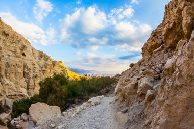Gorge Dead Sea için çıkmak