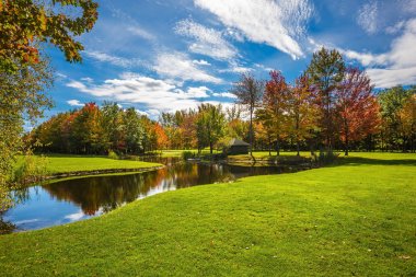 Yeşil çim alan ağaçlar ve göl