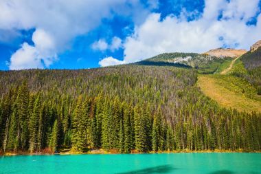  Yoho Ulusal Parkı 'ndaki Emerald Gölü