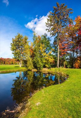 Yeşil çim alan ağaçlar ve göl