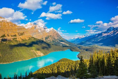 Lake Peyto Banff Ulusal Parkı'nda