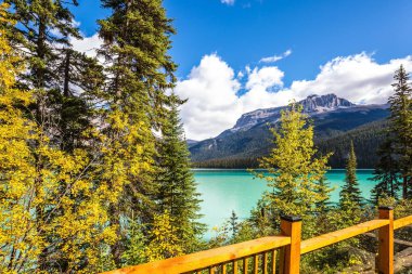  Yoho Ulusal Parkı 'ndaki Emerald Gölü