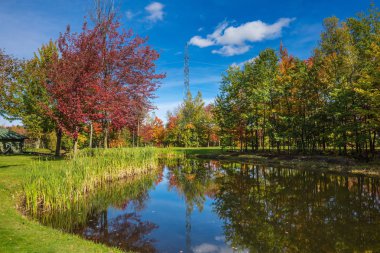Yeşil çim alan ağaçlar ve göl