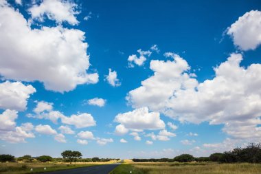 sararmış ot ve otoyol Namibya