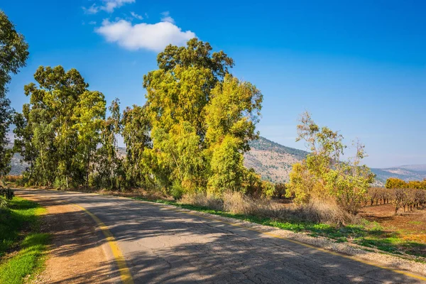 Riserva Hula in Alta Galilea — Foto Stock